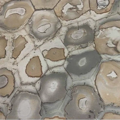 Kwarżit Fossili Brażiljan